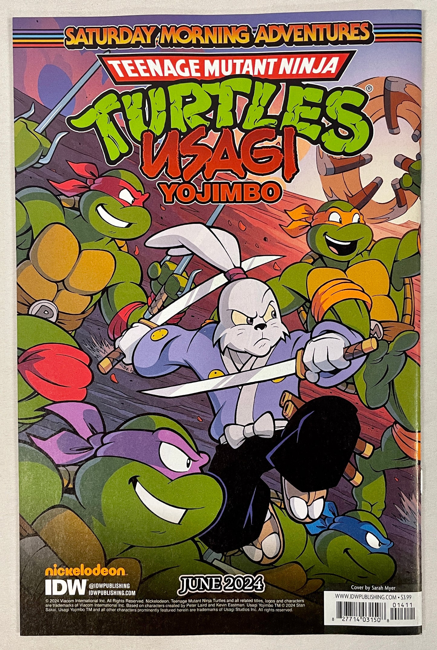 IDW Saturday Morning Adventures Teenage Mutant Ninja Turtles #14